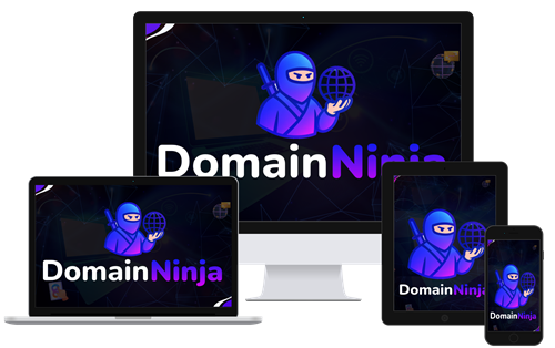 Domain Ninja review